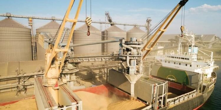 Lloyd's of London's Hiscox to provide insurance for Ukraine grain corridor