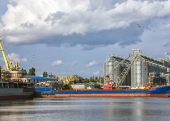 Ship Insurers Sail Into Unknown With Ukraine Grain Risks After Deal Reached