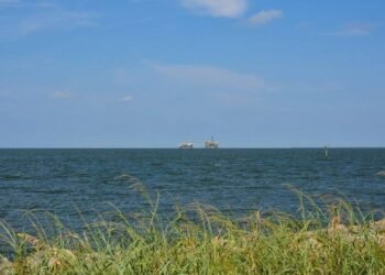 Next US Energy Boom Could Be Wind Power in the Gulf of Mexico