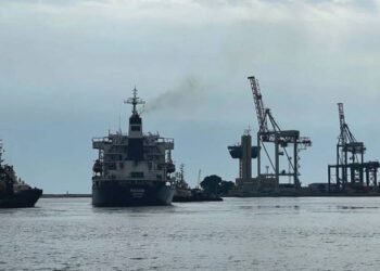 Ship Carrying First Ukrainian Grain on Track for Safe Arrival