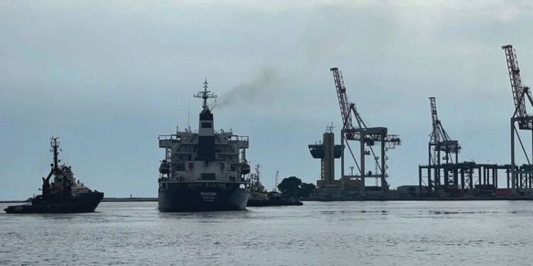 Ship Carrying First Ukrainian Grain on Track for Safe Arrival