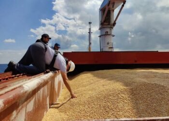 First Ukraine Grain Ship Cleared to Passes Through the Bosphorus