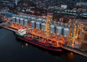 Ship Insurers Seek More Assurances on Ukraine Grain Corridor