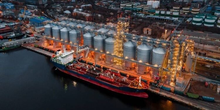 Ship Insurers Seek More Assurances on Ukraine Grain Corridor