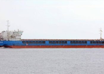 Ukraine Summons Turkish Ambassador After Russian Ship Leaves Port