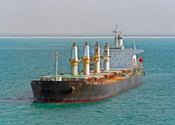 bulk ship in egypt