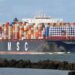 msc containership