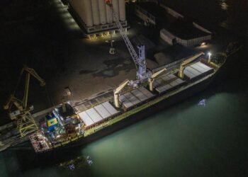 Russian Separatists Seize Two Foreign Ships in Mariupol