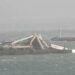 port elizabeth crane collapse