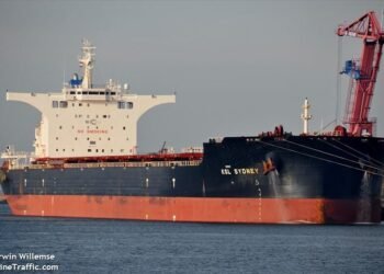 Hong Kong-Flagged Bulk Carrier Attacked by Pirates Off Somalia