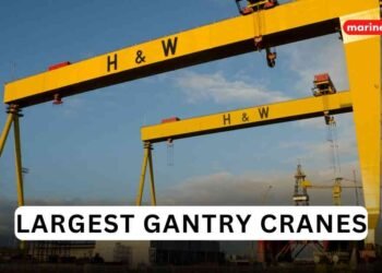 6 Largest Gantry Cranes In The World