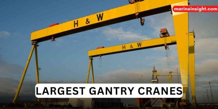 6 Largest Gantry Cranes In The World