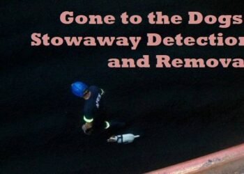 Gone to the Dogs: Stowaway Detection and Removal