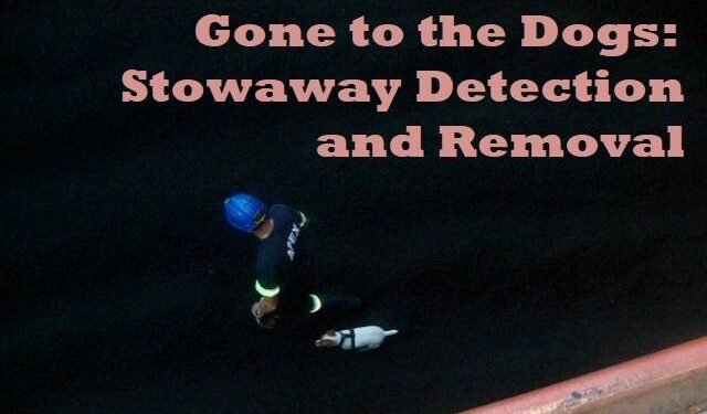 Gone to the Dogs: Stowaway Detection and Removal