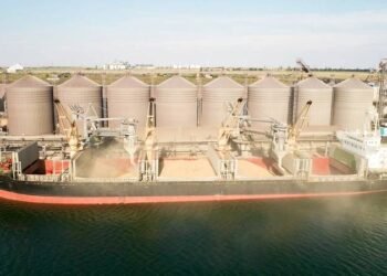 Turkey Says Ukraine Grain Ships Could Avoid Mines