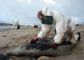 Insurer Must Pay Spanish Claim in Galicia Oil Spill, EU Court Says