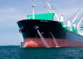 general cargo bulk ship