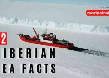 12 Siberian Sea Facts You Must Know