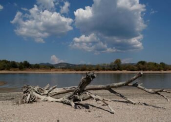Record Low Water Levels on the Danube Hinders Shipping in Hungary