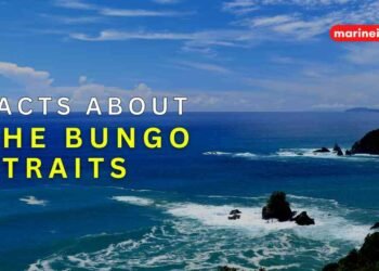 7 Amazing Facts About The Bungo Straits