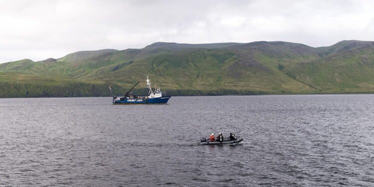 Scientists Discover Stern of World War II U.S. Destroyer Off Remote Alaskan Island