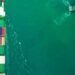 LR launches maritime AI record evaluation device LR launches maritime AI report assessment tool