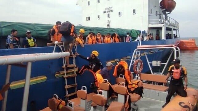 Indonesian Car Carrier Sinks After Colliding with Cargo Ship