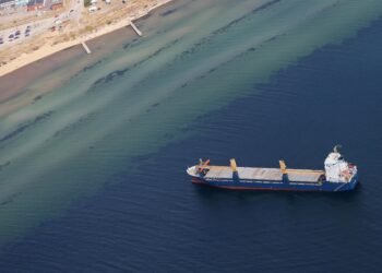 Drunken Master Suspected in Another Ship Grounding Off Sweden