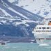 Hapag-Lloyd Cruises Faces Outrage After Guard Kills Polar Bear During Arctic Cruise Excursion Hapag-Lloyd Cruises Faces Outrage After Guard Kills Polar Bear During Arctic Cruise Excursion