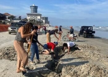 Hurricane Nicole Unearthed a 19th-Century Shipwreck