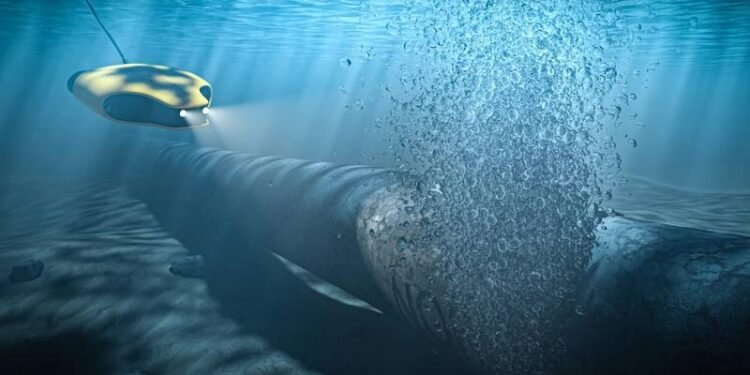 Nord Stream Probe Finds Evidence of Detonations, Swedish Police Say