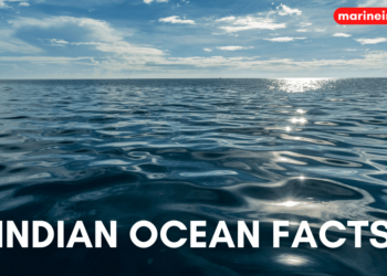 15 Not-So-Known Facts about the Indian Ocean