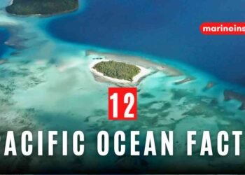 12 Interesting Facts About The Pacific Ocean