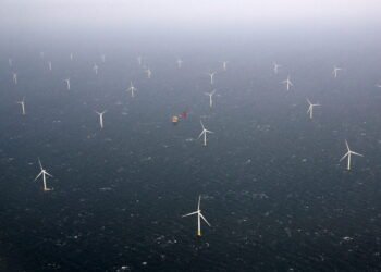 Trump Effort to Lift U.S. Offshore Wind Sector Sparks Interest from Europe