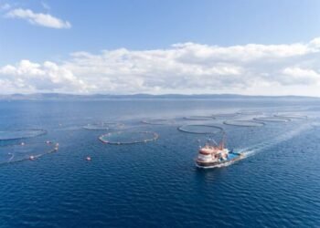 ABS Launches Smart Emissions Reporting Tool