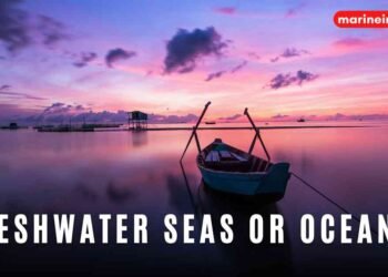 Are There Any Freshwater Seas Or Oceans In The World?