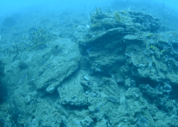 U.S. Funds Preservation of Ancient Shipwreck Near Hambantota