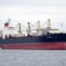 UNITED STATE Alarmed By Strike on Turkish Ship Delivering Wheat to Yemen U.S. Alarmed By Strike on Turkish Ship Delivering Wheat to Yemen