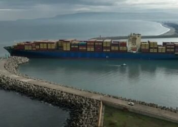 Italian Container Port Reopens After Grounded MSC Boxship is Refloated