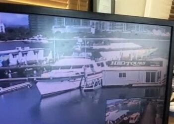 Incident Video: Australian Whale Watching Boat Loses Control at Dock