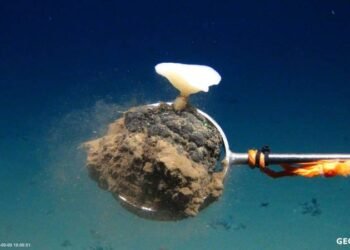 Subsea Mining Plans Pit Renewable Energy Demand Against Ocean Life