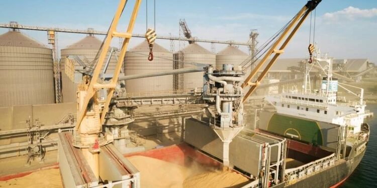 Russia Resumes Participation in Ukraine Grain Export Deal
