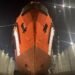 Rescue Boat Resolve Pioneer Upgraded Rescue Boat Resolve Pioneer Upgraded
