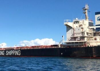 shandong Hai Wang australia ban