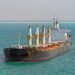 bulk ship in egypt
