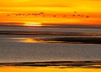 10 Gulf Of Carpentaria Facts You Must Know