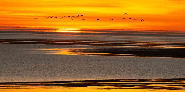 10 Gulf Of Carpentaria Facts You Must Know