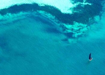 10 Mozambique Channel Facts You Might Not Know