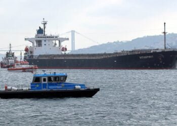 Bosporus Strait Bulker Crash Hits Barley Supply to Top Buyer