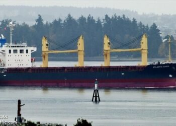 atlantic oasis magic pipe